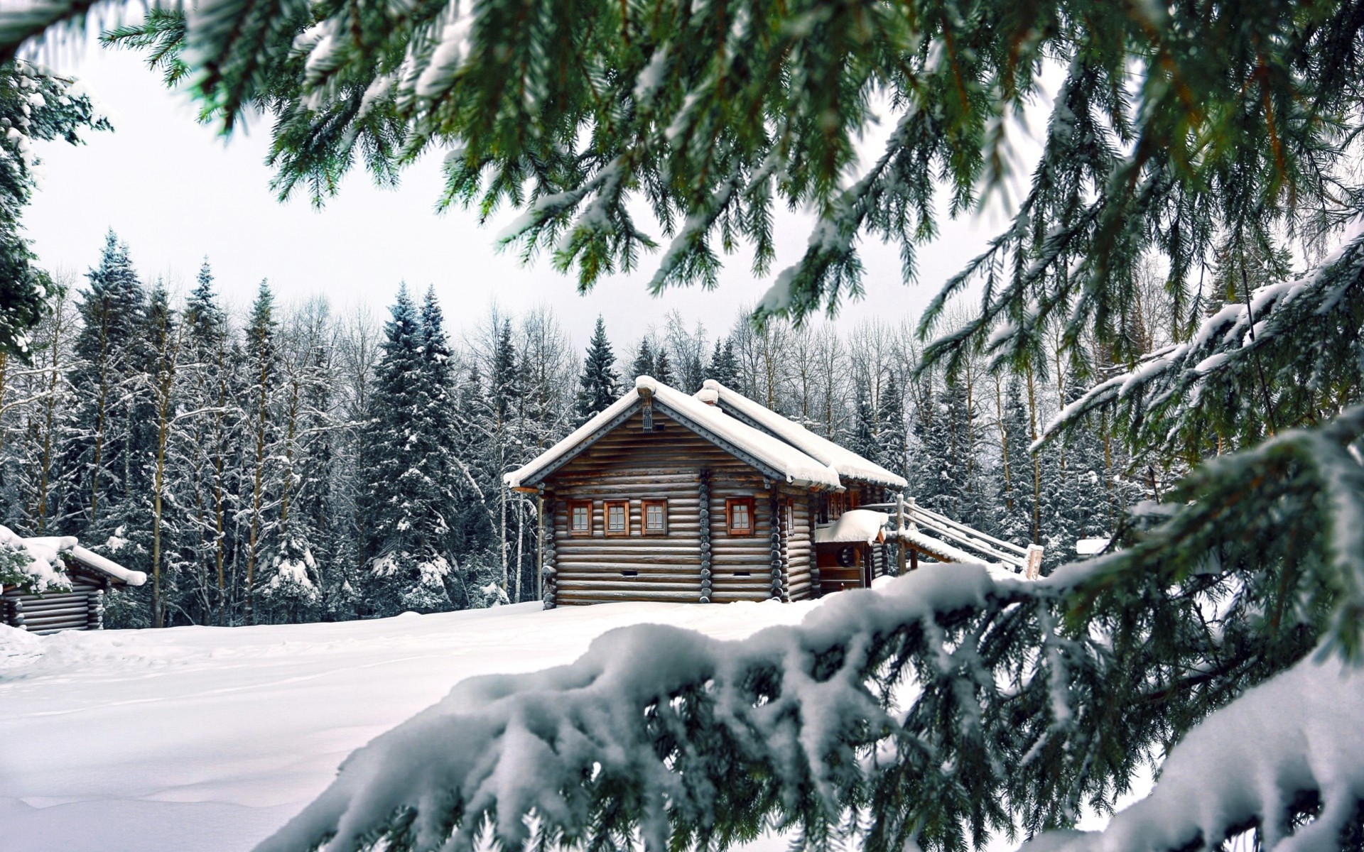 albero di natale paesaggio alberi foresta casa costruzione neve inverno