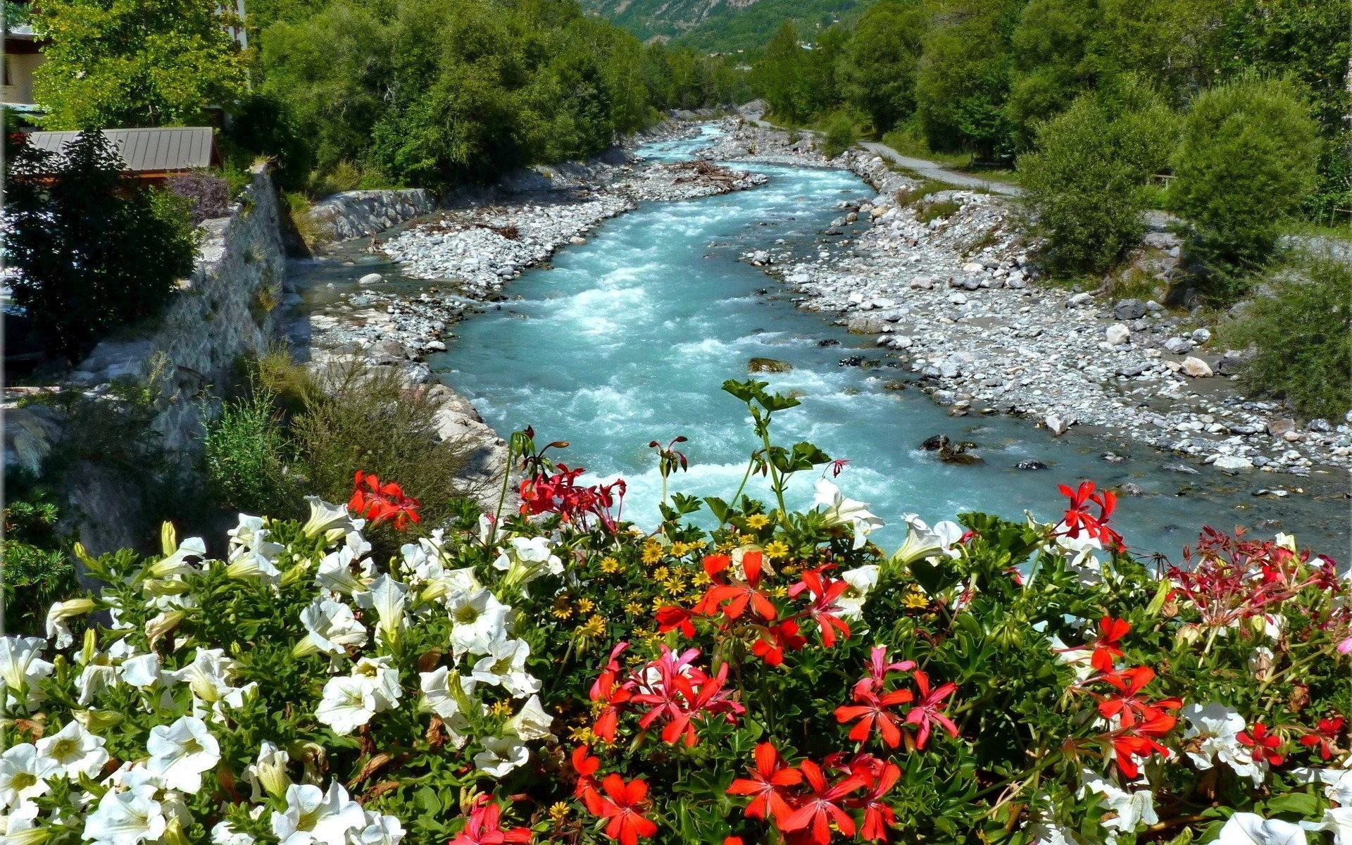 río flores cama canal