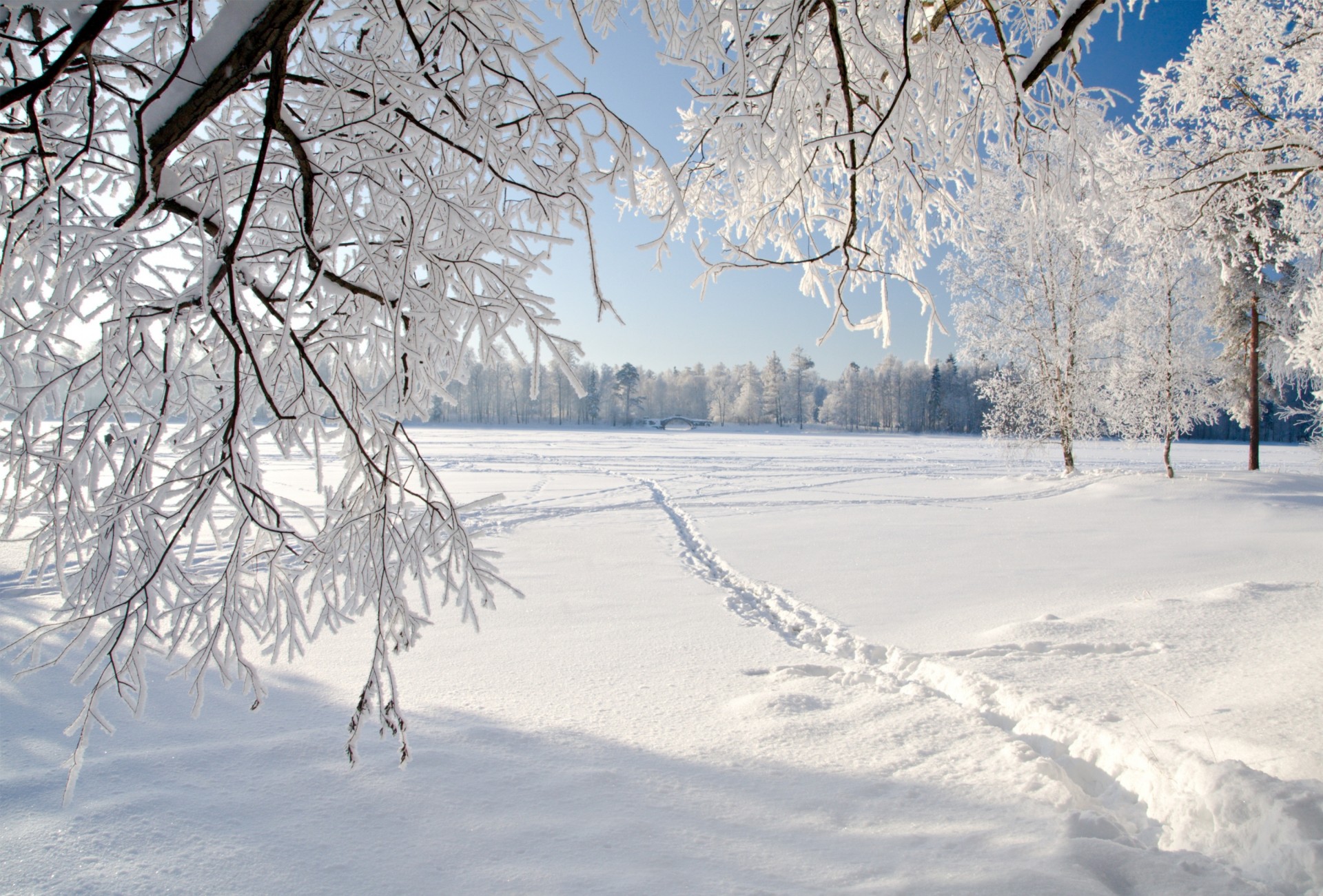 hielo naturaleza paisaje nieve invierno árboles