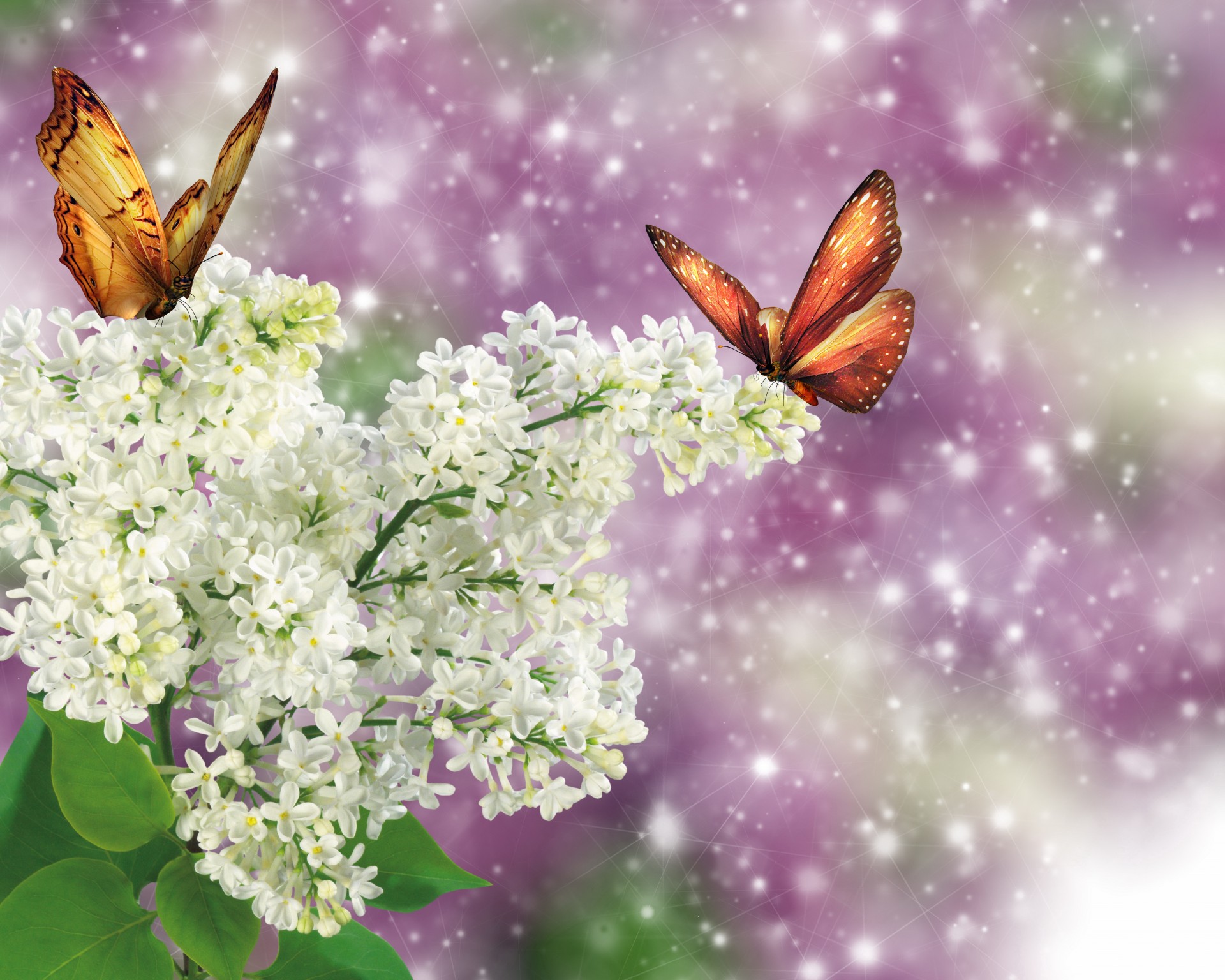 nature papillons lilas photoshop fantaisie printemps