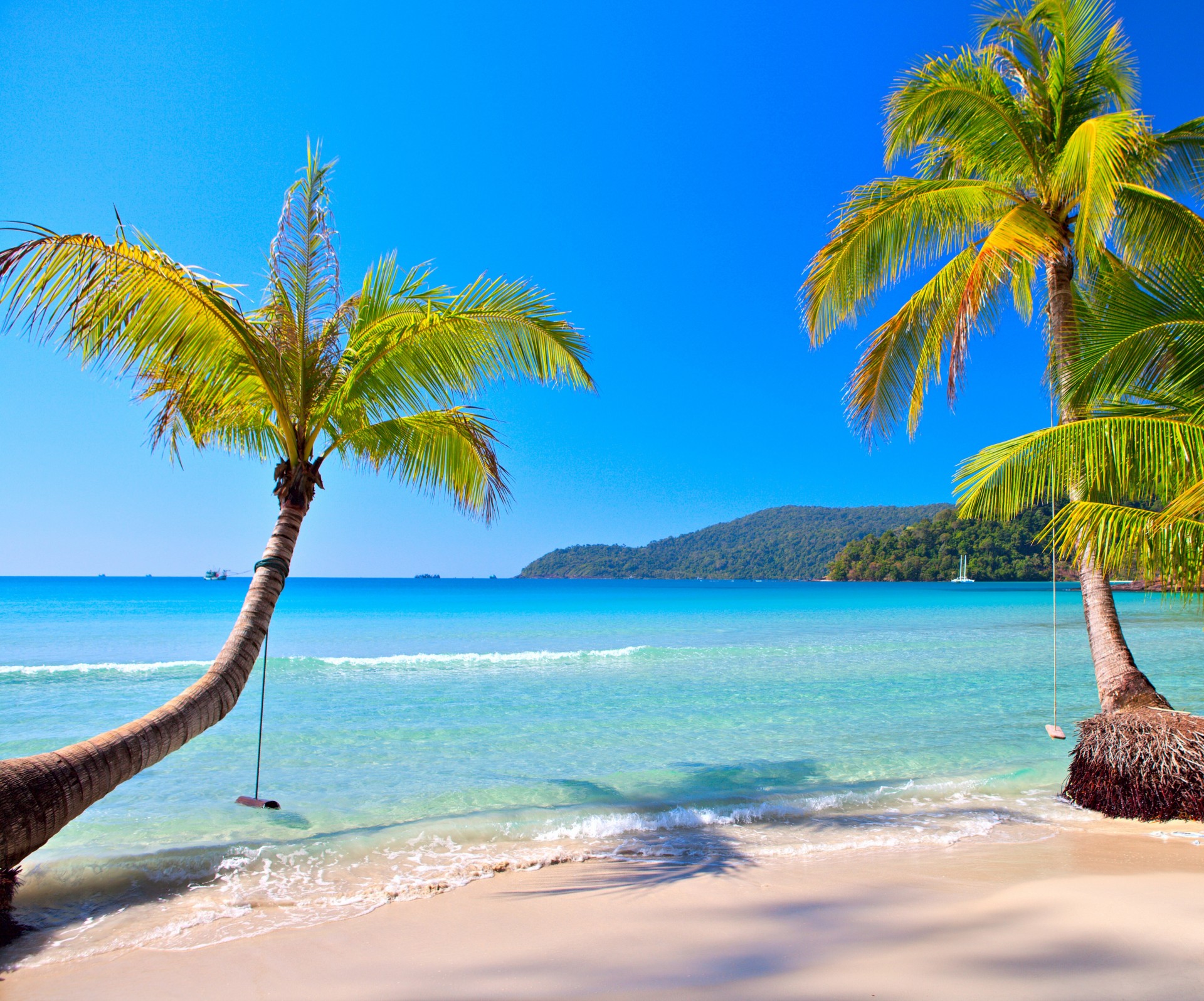 tropical beach palm trees summer tropics summer coast australia beautiful paradise ocean