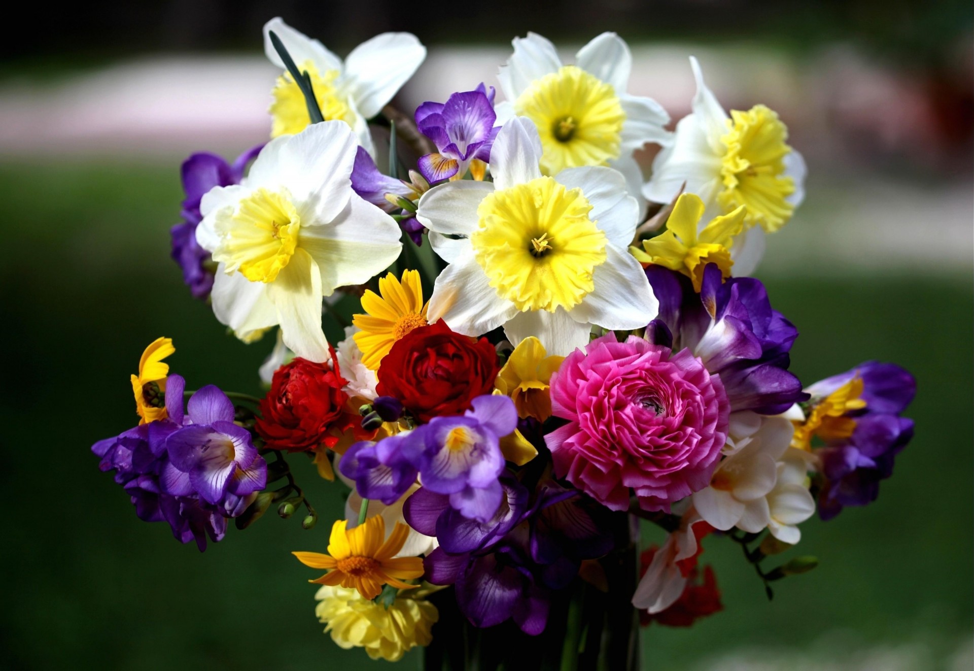 blumenstrauß narzissen blumen rosen freesien