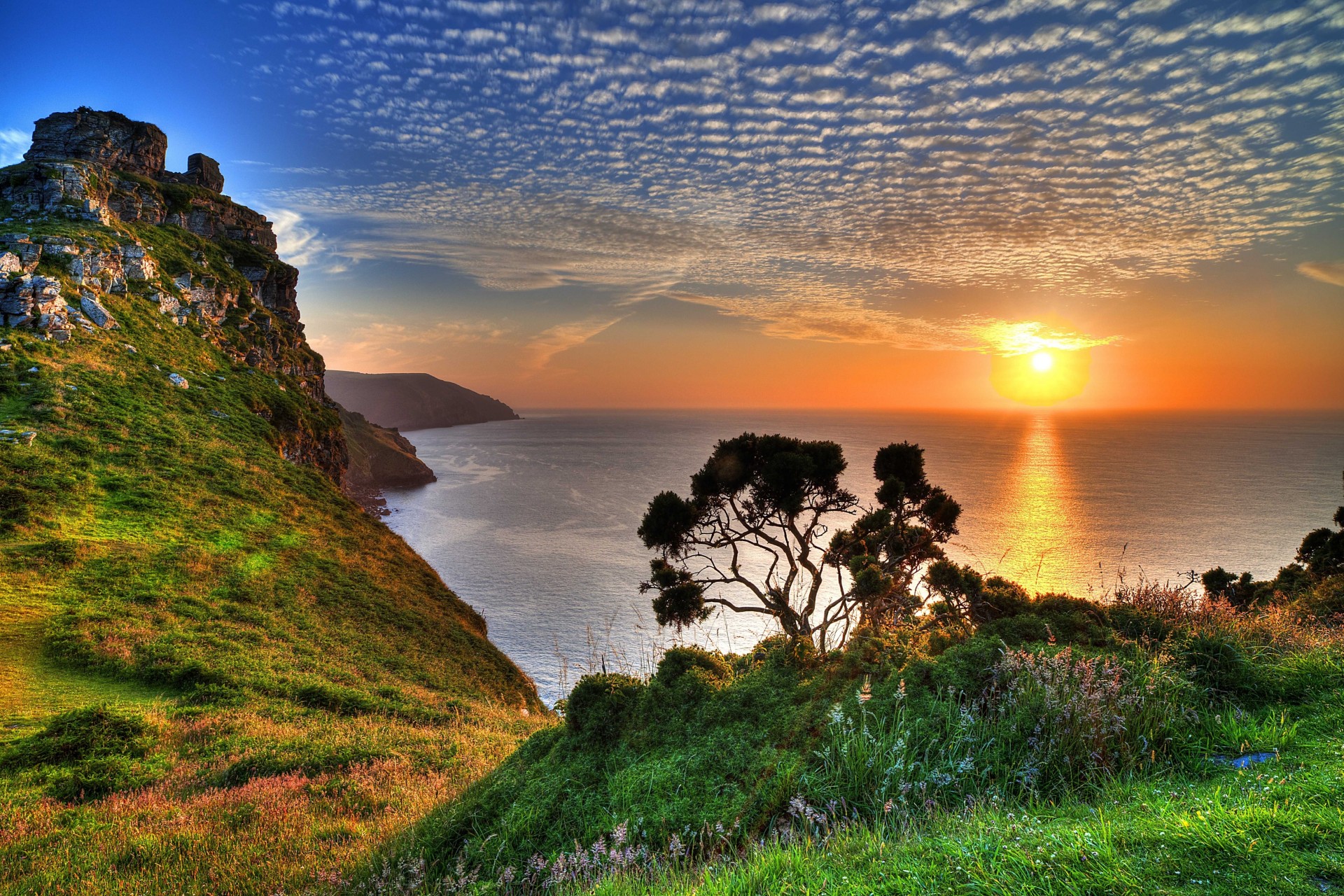 landscape sunset tree coast exmoor sea united kingdom rock