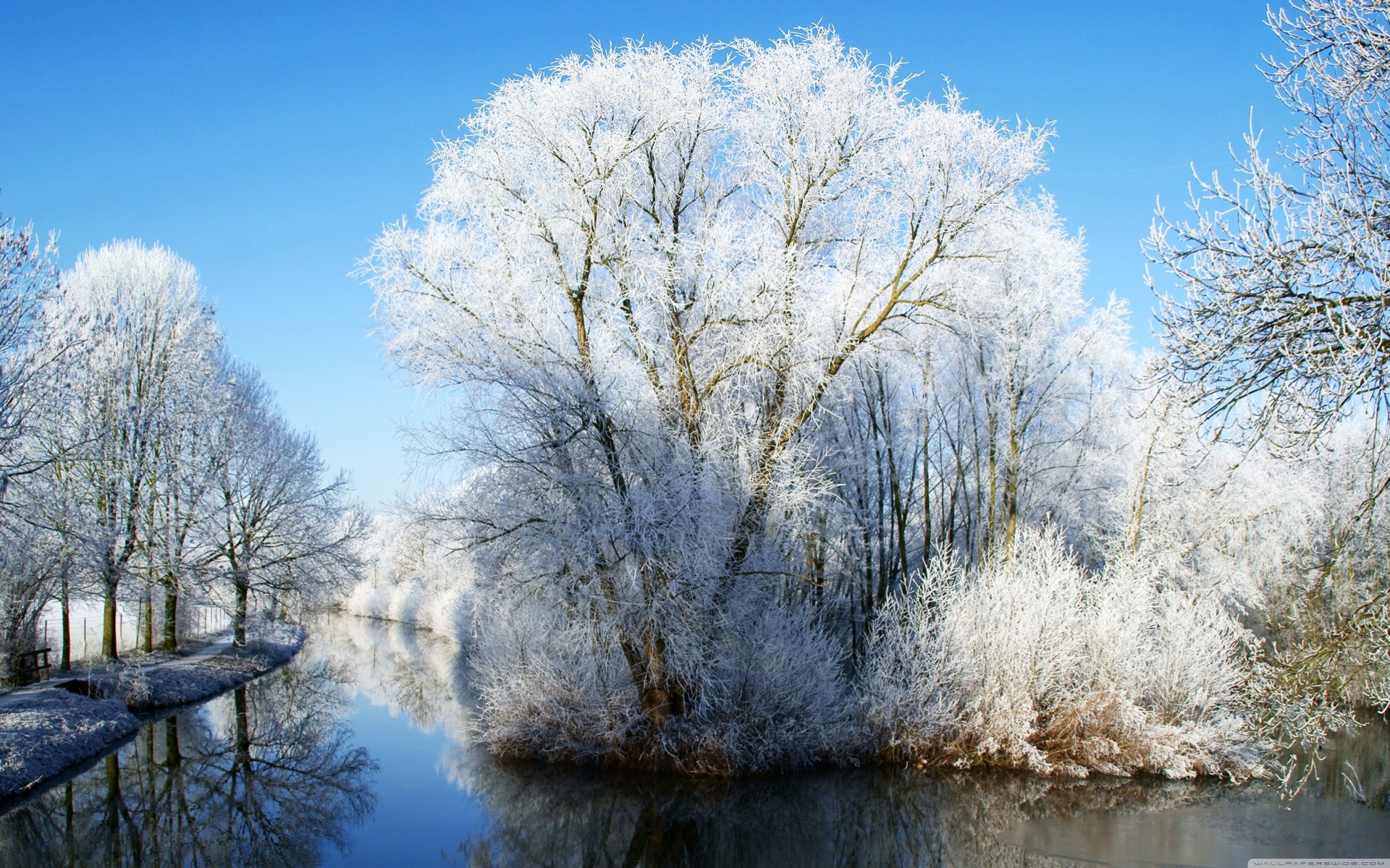 szene blauer himmel gefroren schnee fluss natur landschaft reflexion palmen blau schön fotografie sonne weiß winter landschaft frost erstaunlich winter wonderland schönheit paradies auf erden niederlande holland ruhig utrecht reflexionen turm