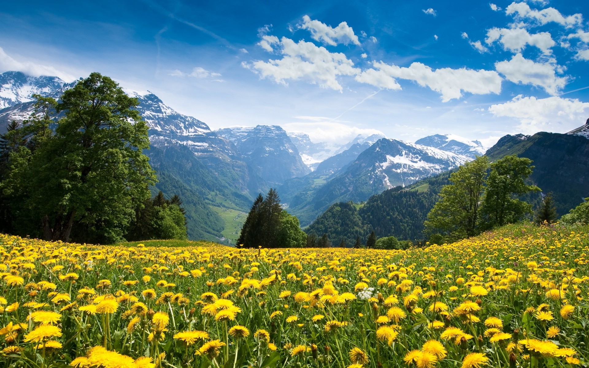 nubes alpes naturaleza bosque flores cielo montañas dientes de león