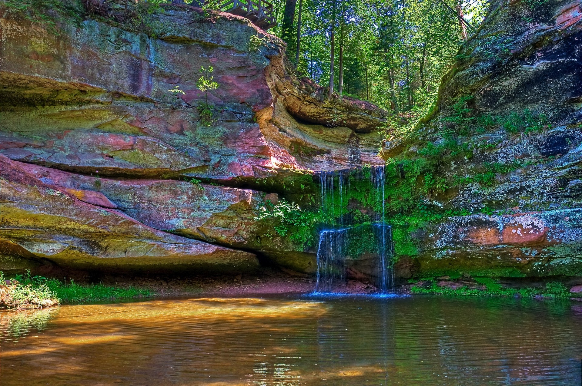 cascade nature arbres étang wisconsin roches