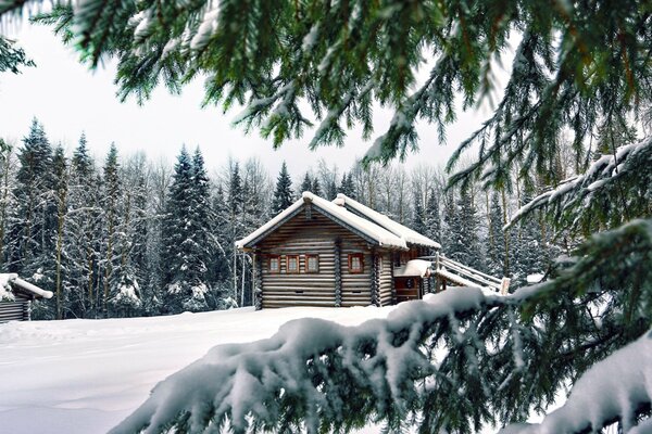 Cabaña de madera en medio del bosque de invierno