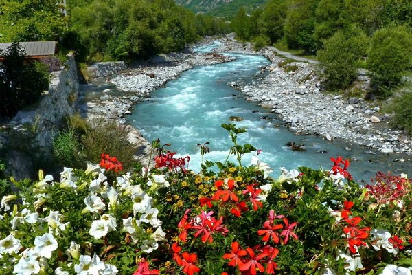 Lleno de flores, la orilla de un río de montaña que fluye a través del pueblo