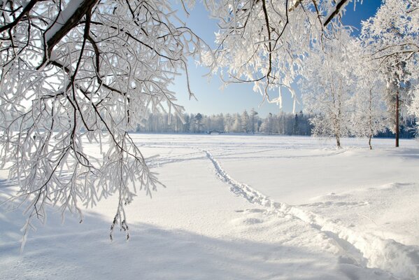 Зимний пейзаж, солнечный день, тропинка, протоптанная через занесенное снегом поле