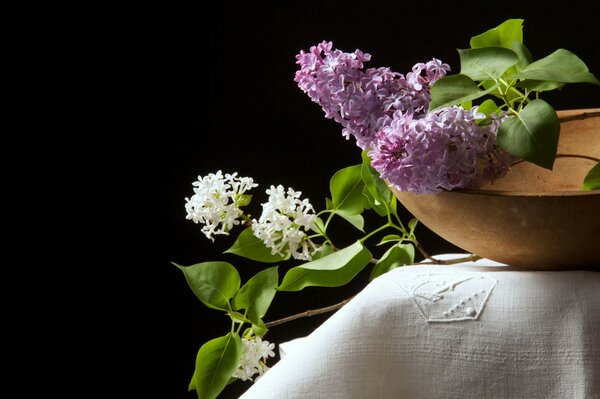 Lilac branch on a black background