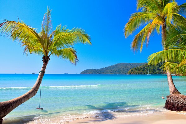 Tropischer Strand an der australischen Küste