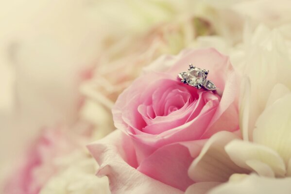 Bild von Hand und Herz Vorschlag mit Ring und Rose