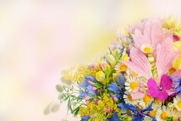Carte postale avec un bouquet de diverses fleurs sauvages