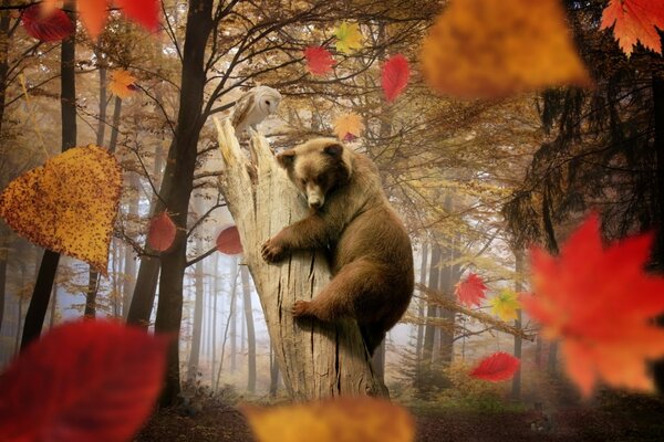 Oso y búho en el bosque de otoño