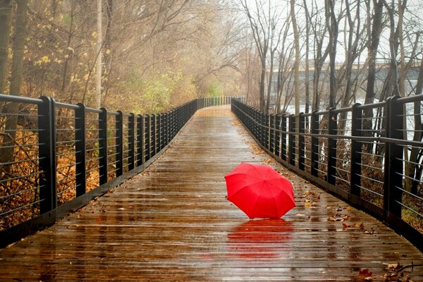 Ombrello rosso nel parco autunnale sul ponte