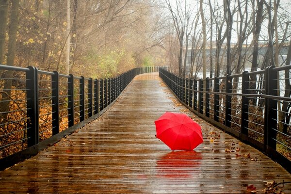Красный зонт в осеннем парке на мосту