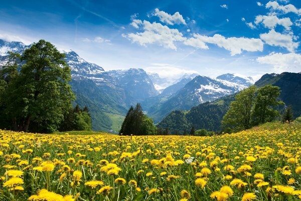 La naturaleza en los Alpes es muy hermosa