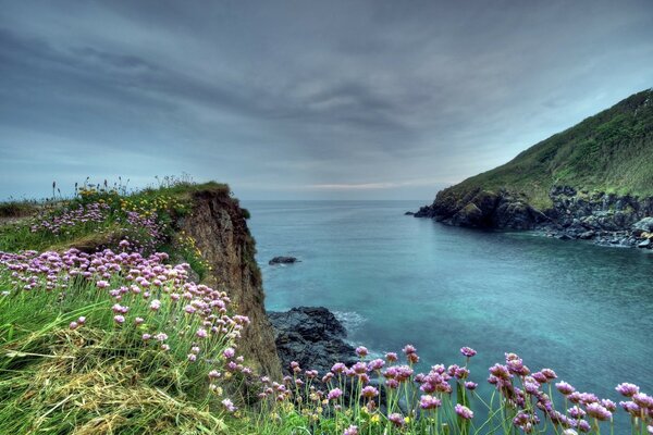 Paysage ciel rocaille fleurs