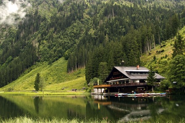 Natur Wasser Fluss Gras