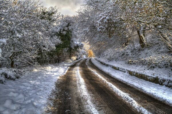 Strada invernale nella foresta innevata