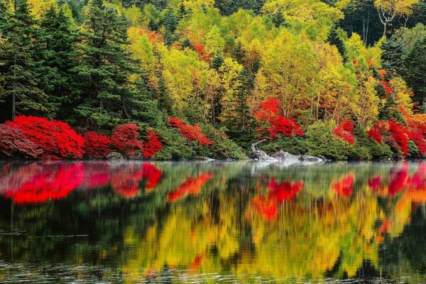 Autumn trees reflecting in the clear water of a quiet lake