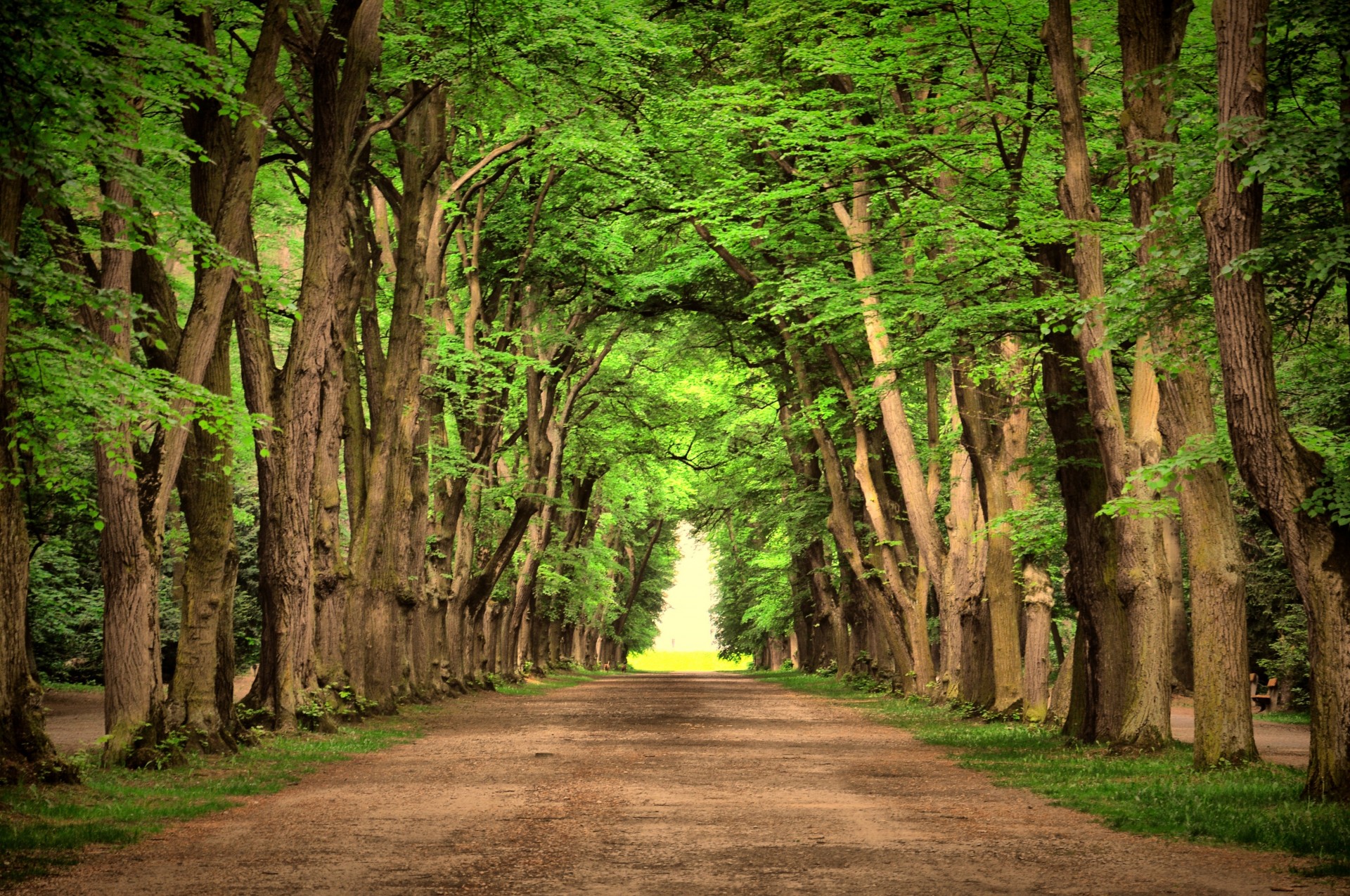 mig-15 route nature paysage palmiers belle