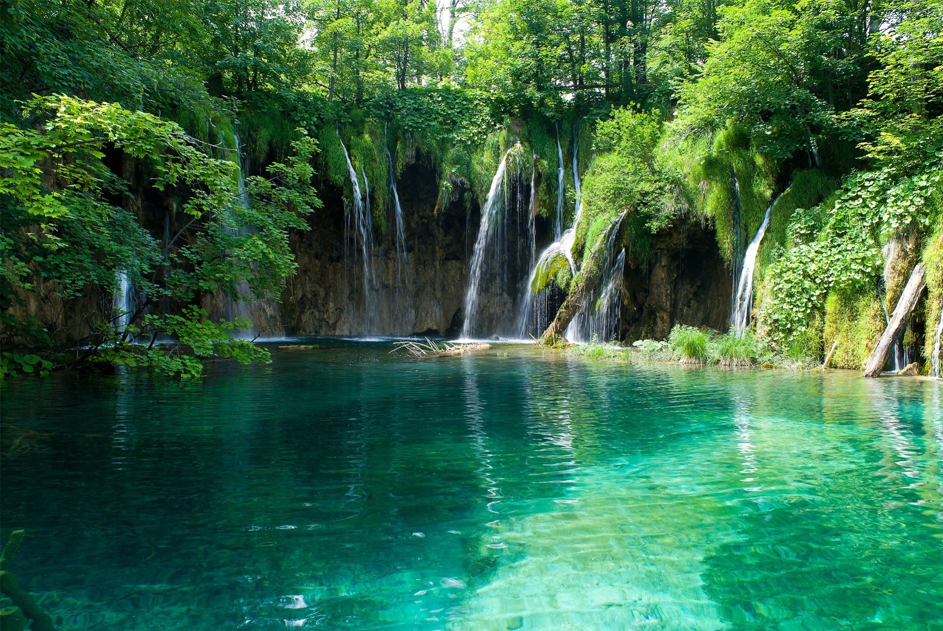 alberi stagno cascata natura