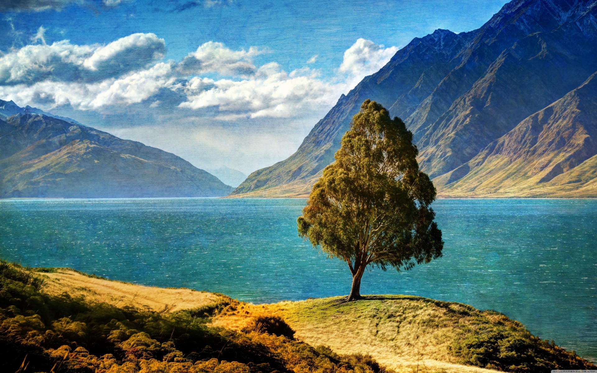 lake clouds tree mountain nature summer