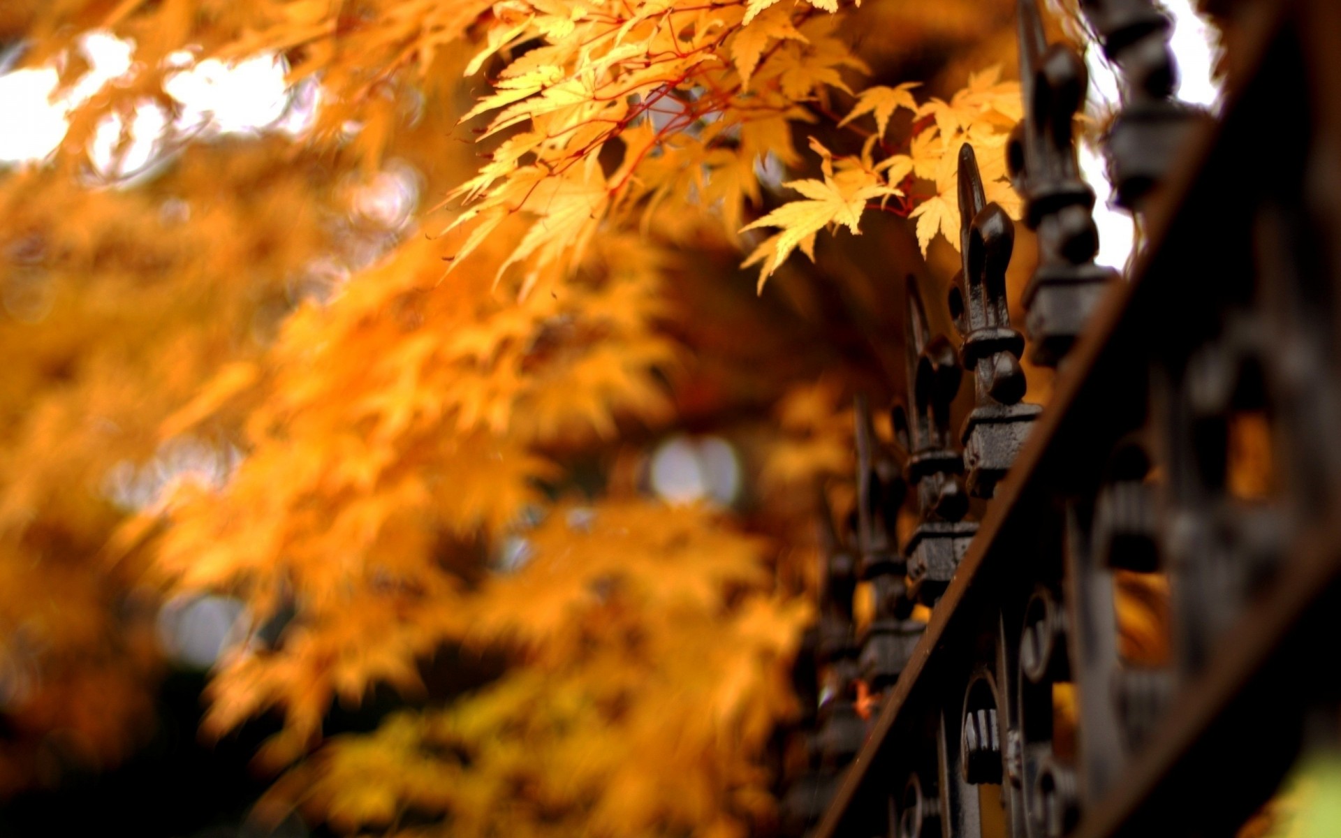 heet nature fence grill autumn