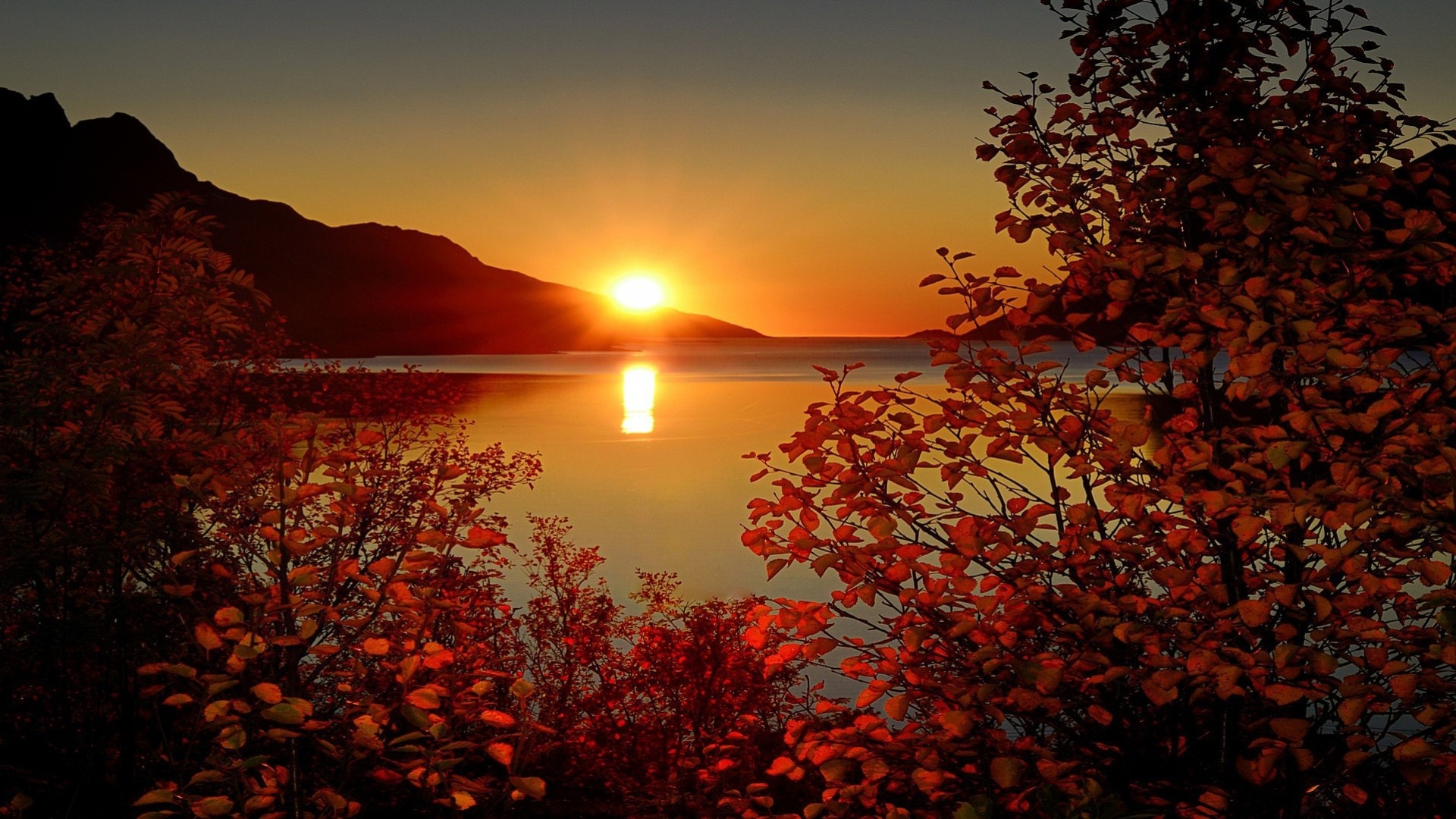 hoja paisaje puesta de sol naturaleza lago árboles sol montañas