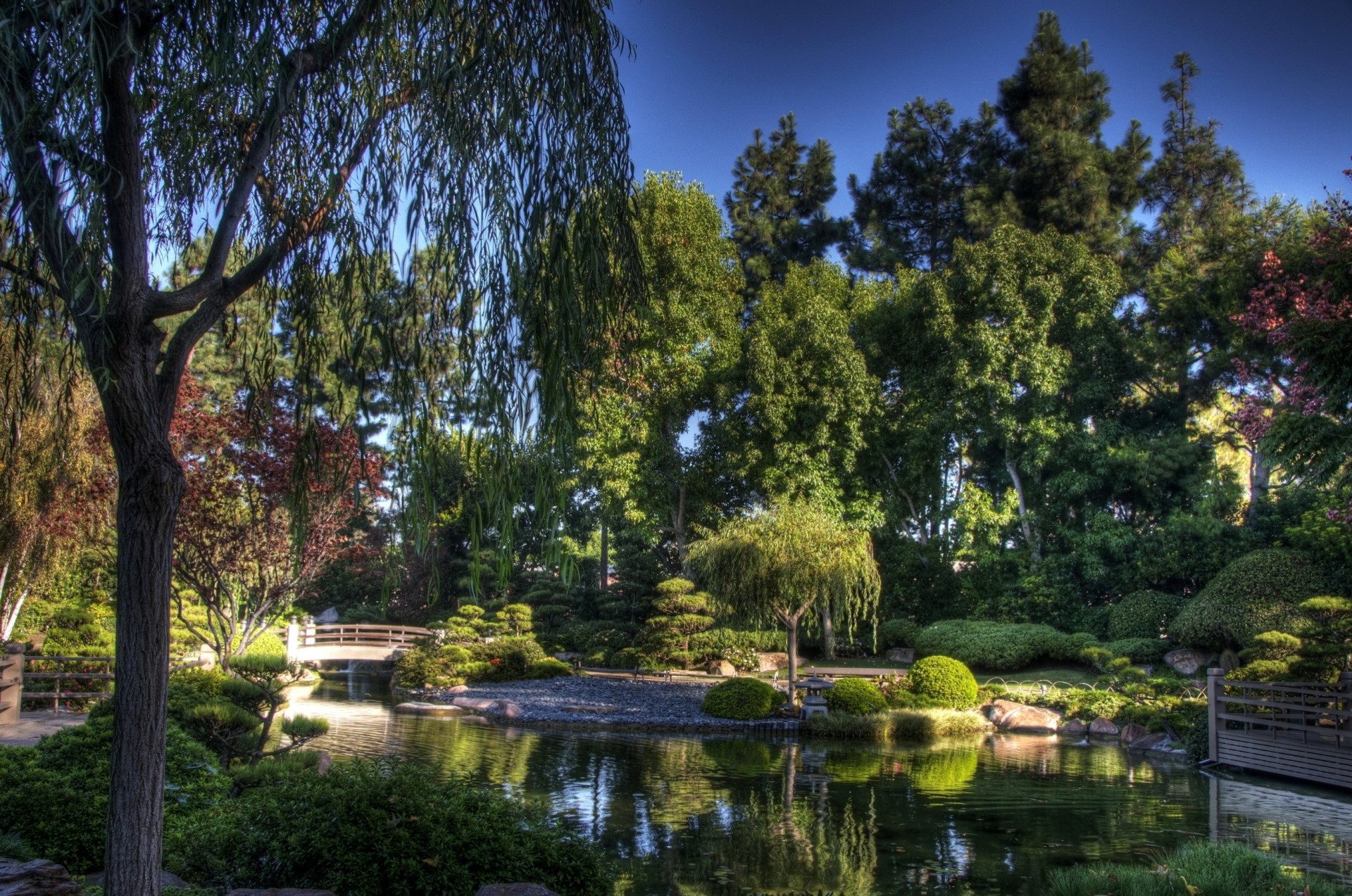 ciel arbres jardin étang pont