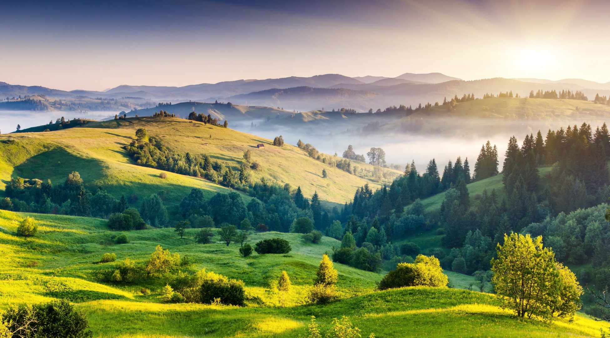 paysage verdure collines arbres brouillard nature parc central soleil