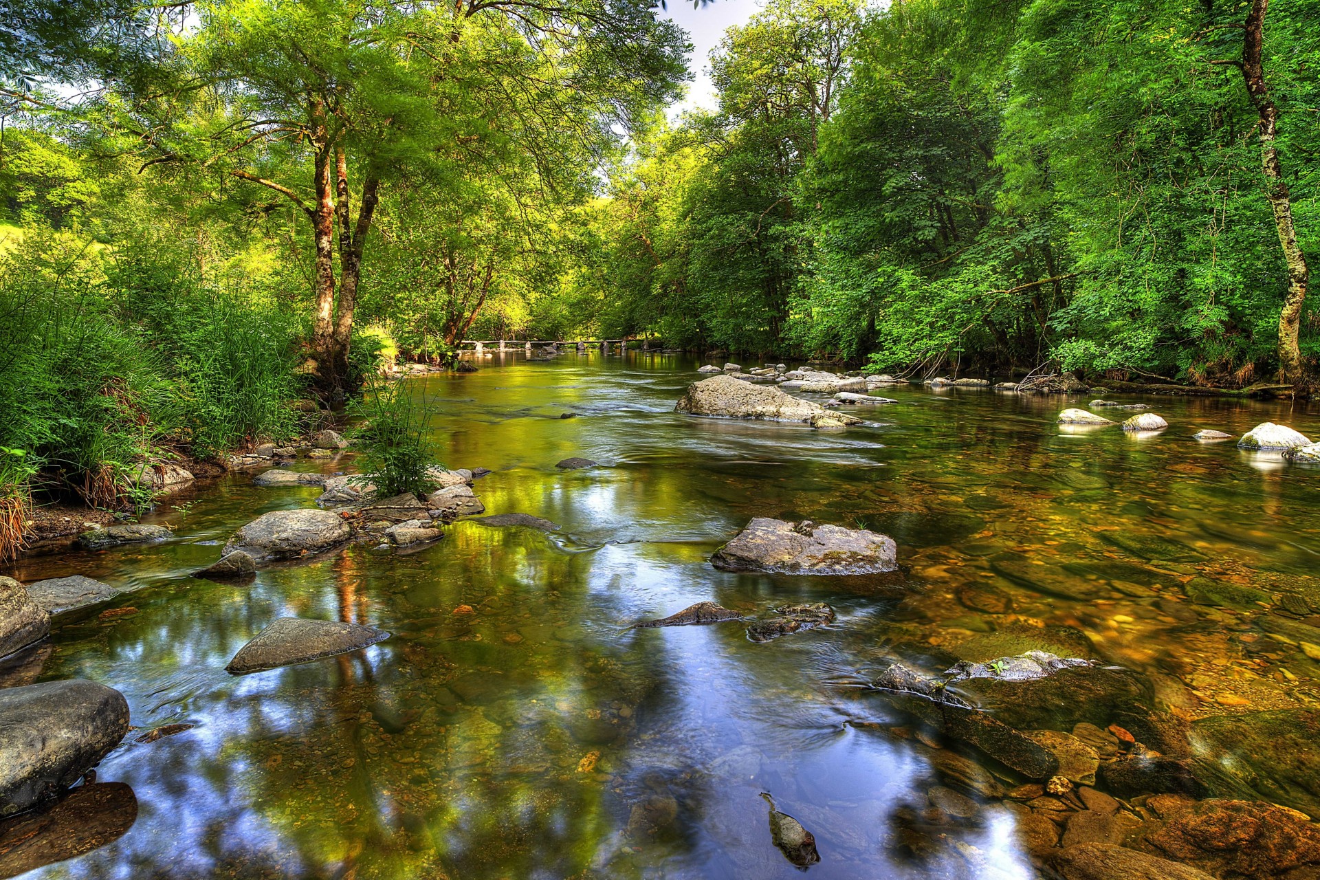 tree landscape river