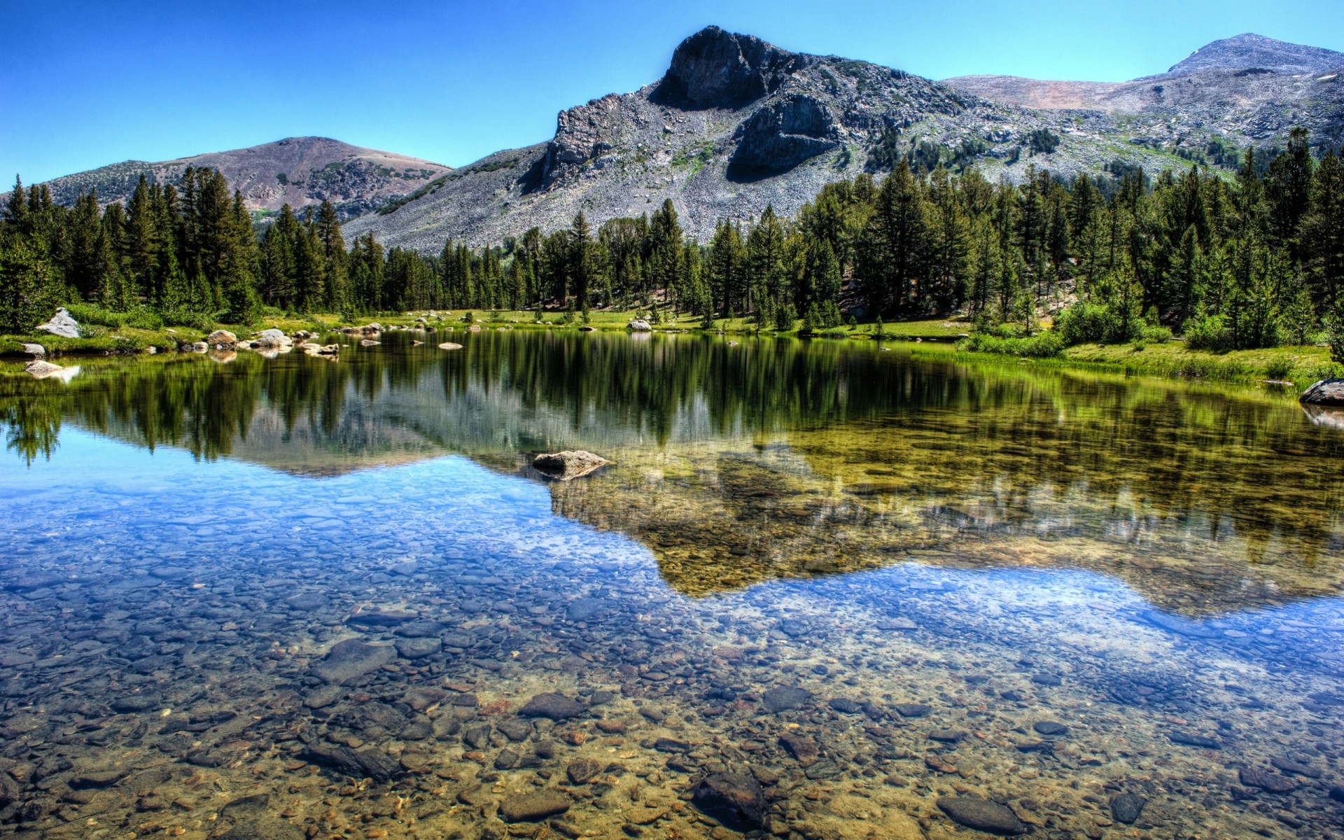 landscape river nature lake forest yosemite national park mountain