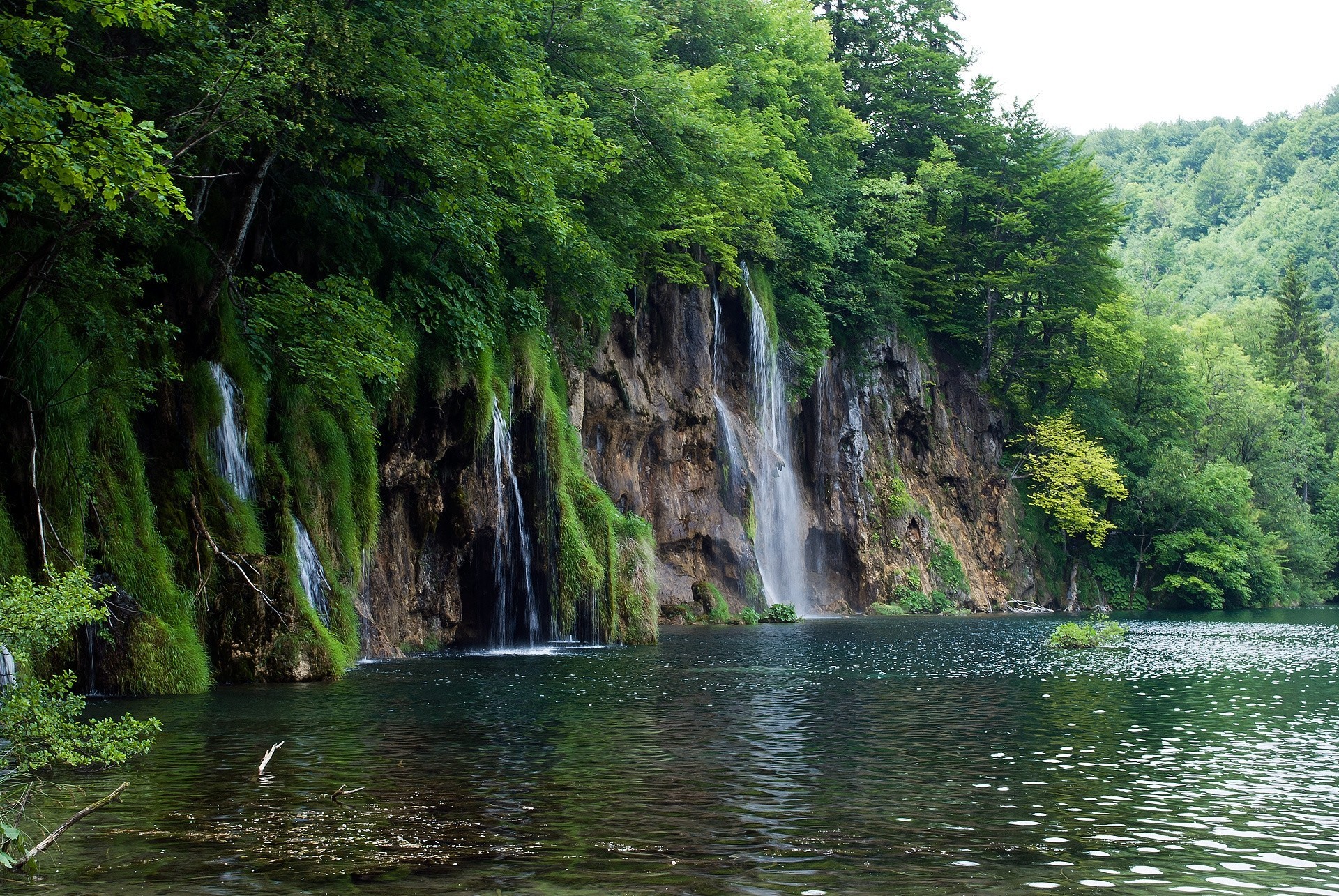 tree landscape rock river waterfall