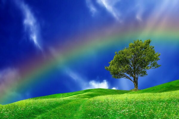 Desktop-Hintergrund Regenbogen über dem Feld