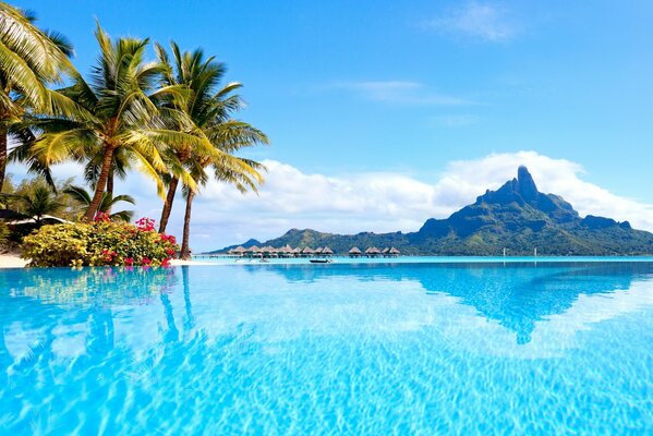 Plage tropicale en Australie