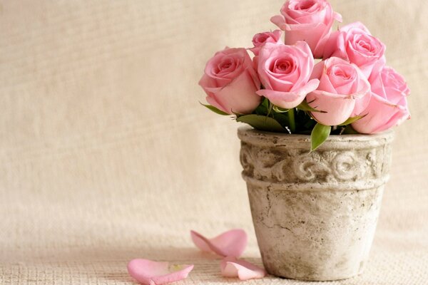 Fallen rose petals in a vase