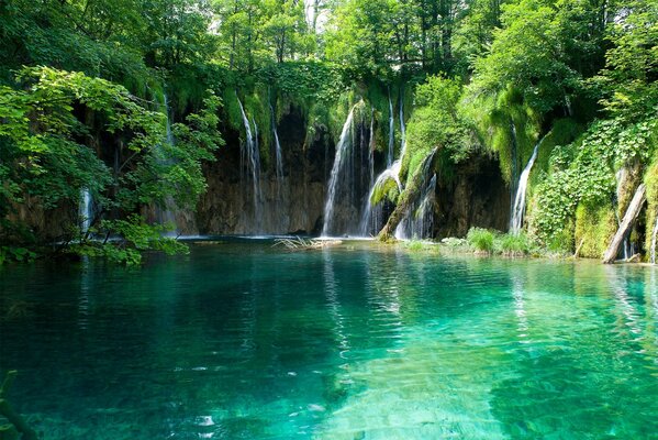 Beautiful view of the pond with a waterfall