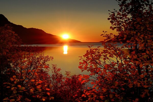 Tramonto arancione su un lago calmo