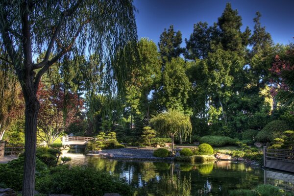 Landscape with garden and pond among trees