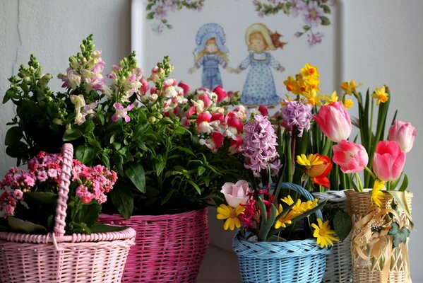 Variété de couleurs de printemps pour les femmes