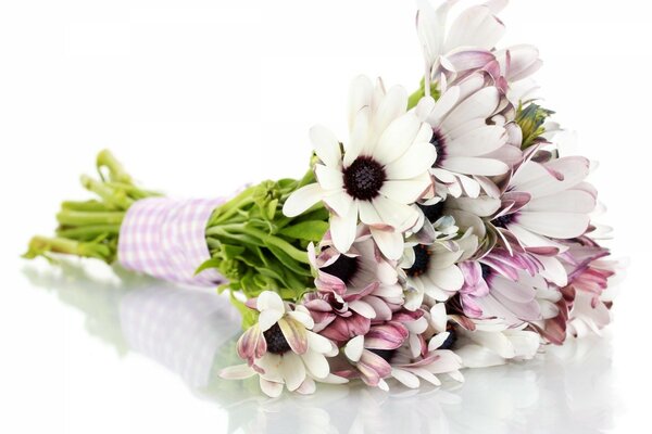 Fleurs blanches en bouquet