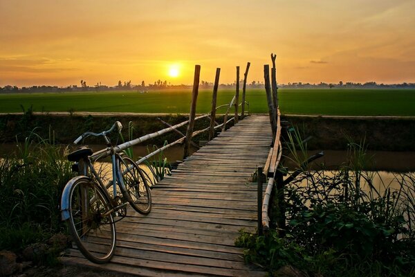 Vélo sur fond de coucher de soleil d été chaud