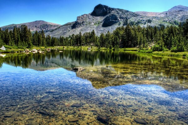La tranquilidad del parque nacional de Yosemite