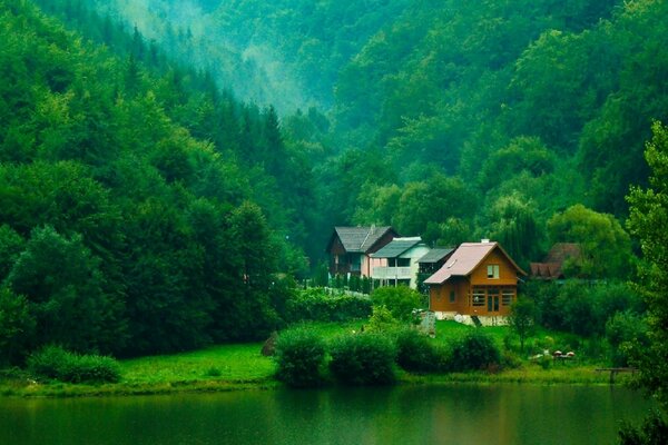 On the landscape there is a forest, a lake and houses