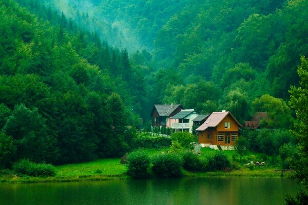 Sur le paysage de la forêt, le lac et la maison