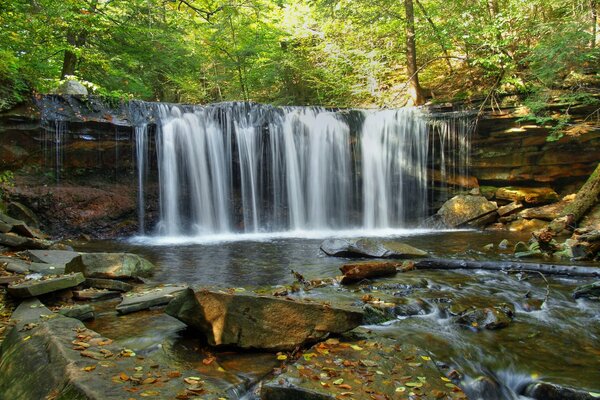 Fond d écran forêt cascade