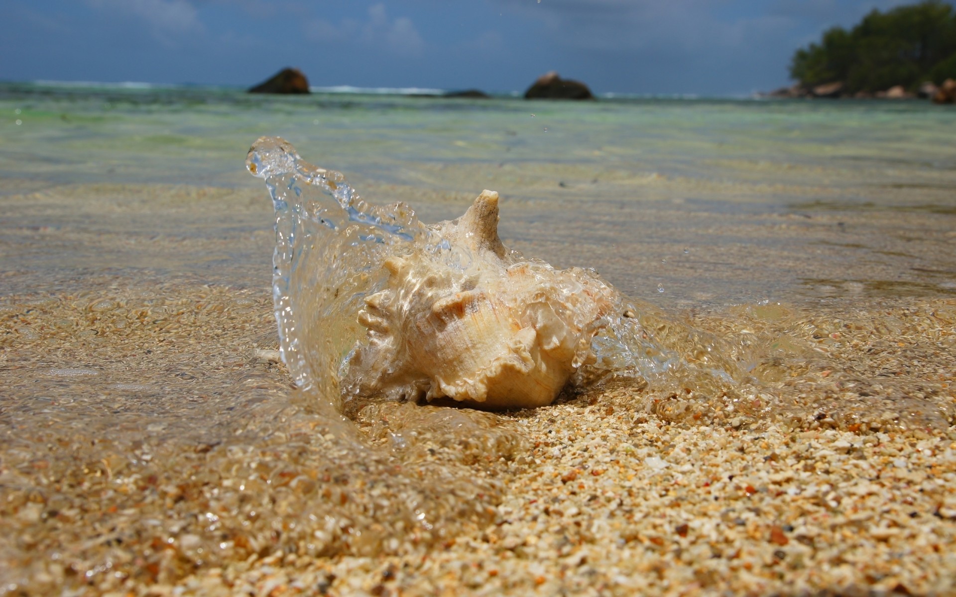 strand ufer schale dose wasser sand