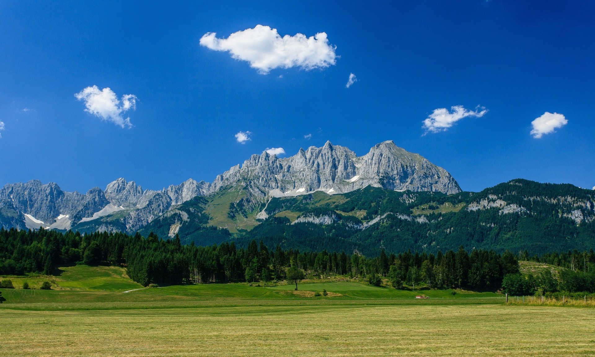 alpy las wilder kaiser góra wilder kaiser hallstatt góry austria łąka